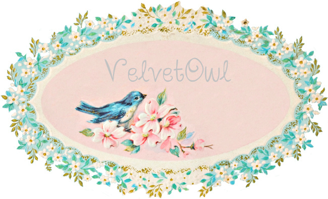 VelvetOwl - Beauty, Fashion & Lifestyle