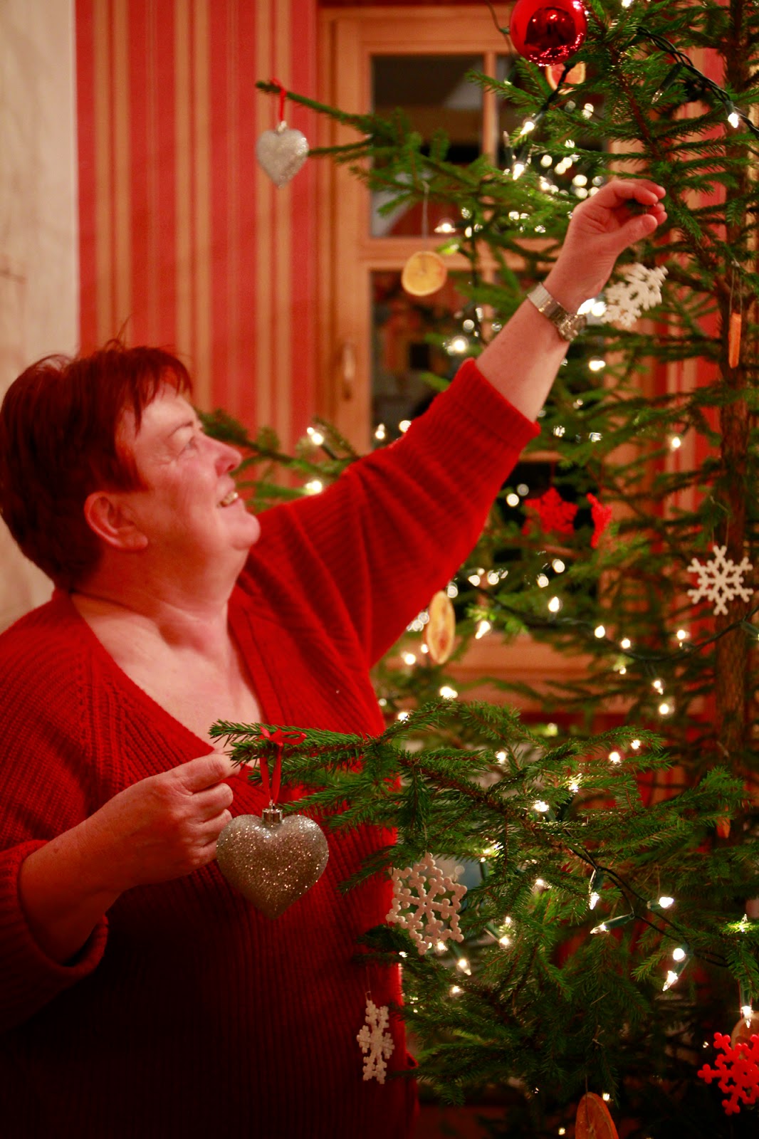 Gwiazdka w Puszczy - Ania w Podróży