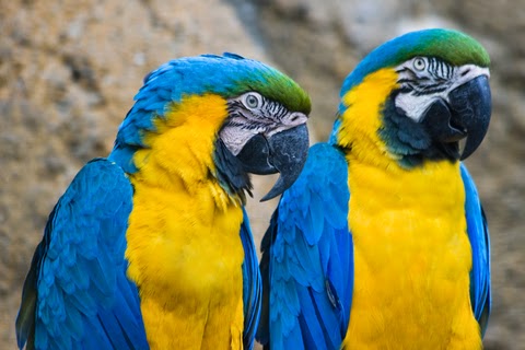 Foto: )C) dreamstime Collette6