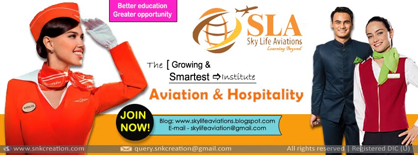 Sky Life Aviations Institute