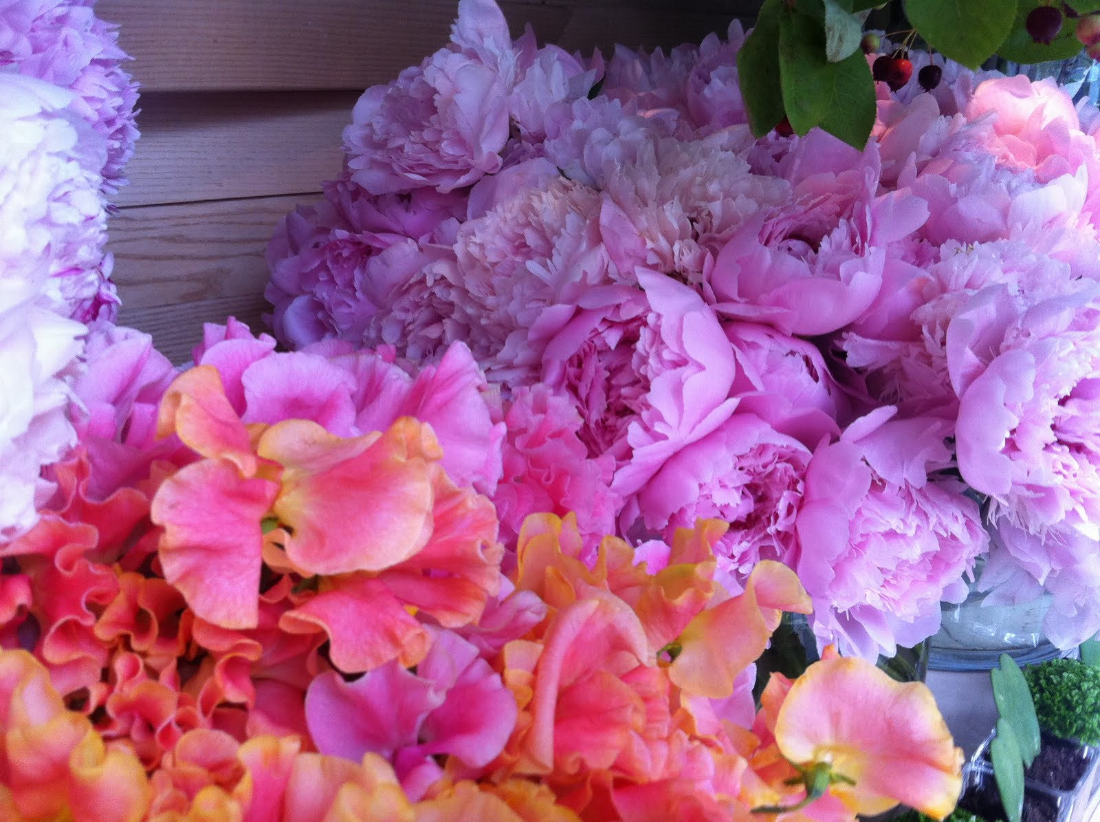 Marigold and Mint Paris Flowers
