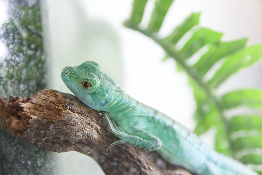 Chamy Travels Reiseblog Aus Osterreich Page 6 Chan 55500390