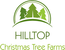 challenges it may be august but christmas will be hilltop christmas tree farms
