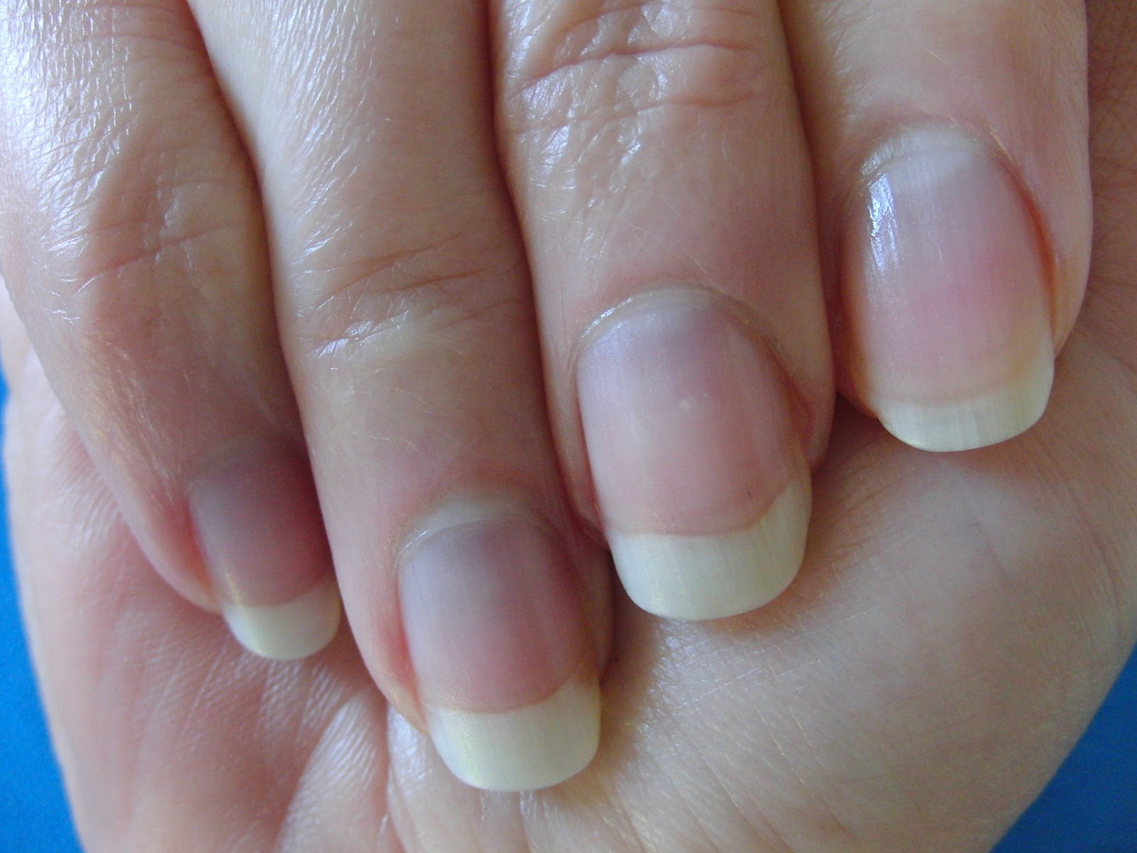 Beauty Blog by Lisa TIPS from head to toe! The structure of your nail
