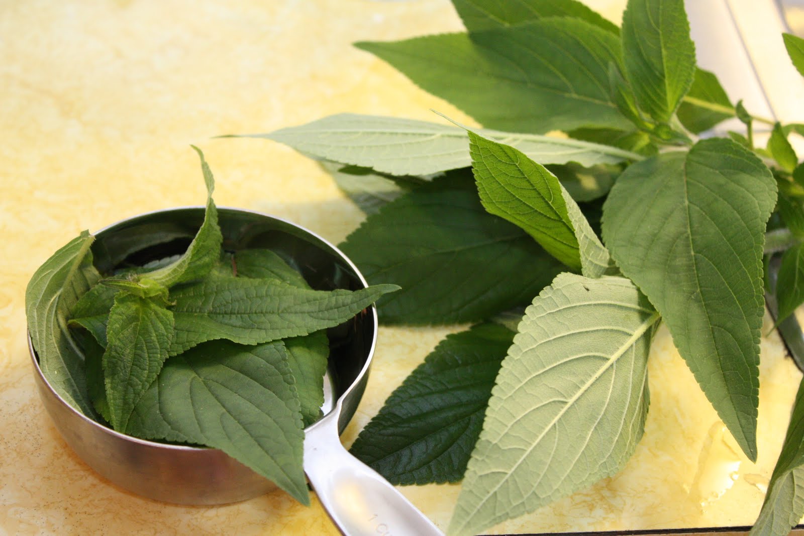 GrapeSugar Pineapple Sage Iced Tea