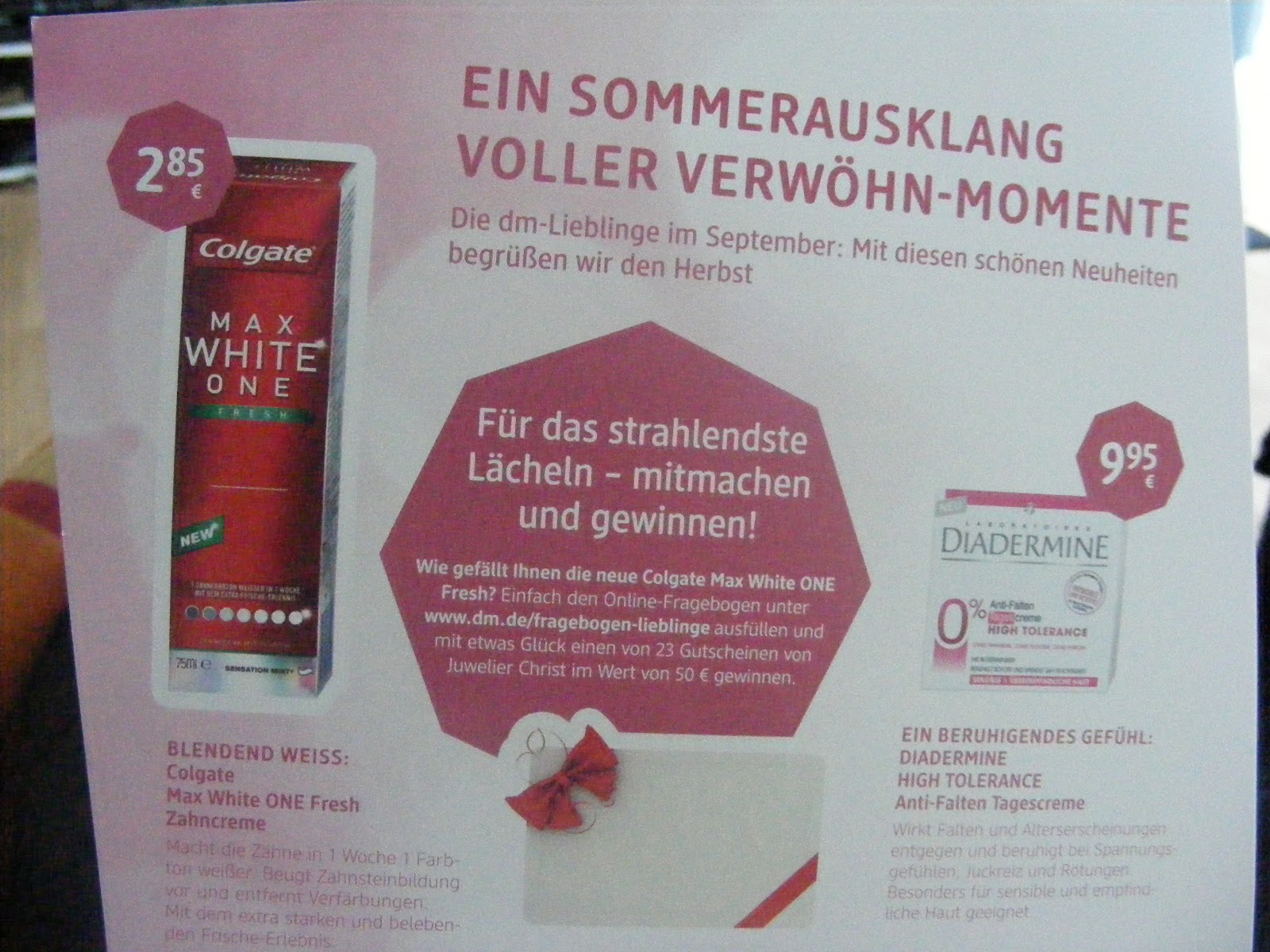 Die Querollantin Ein Rollstuhl Der Stufen Steigen Kann