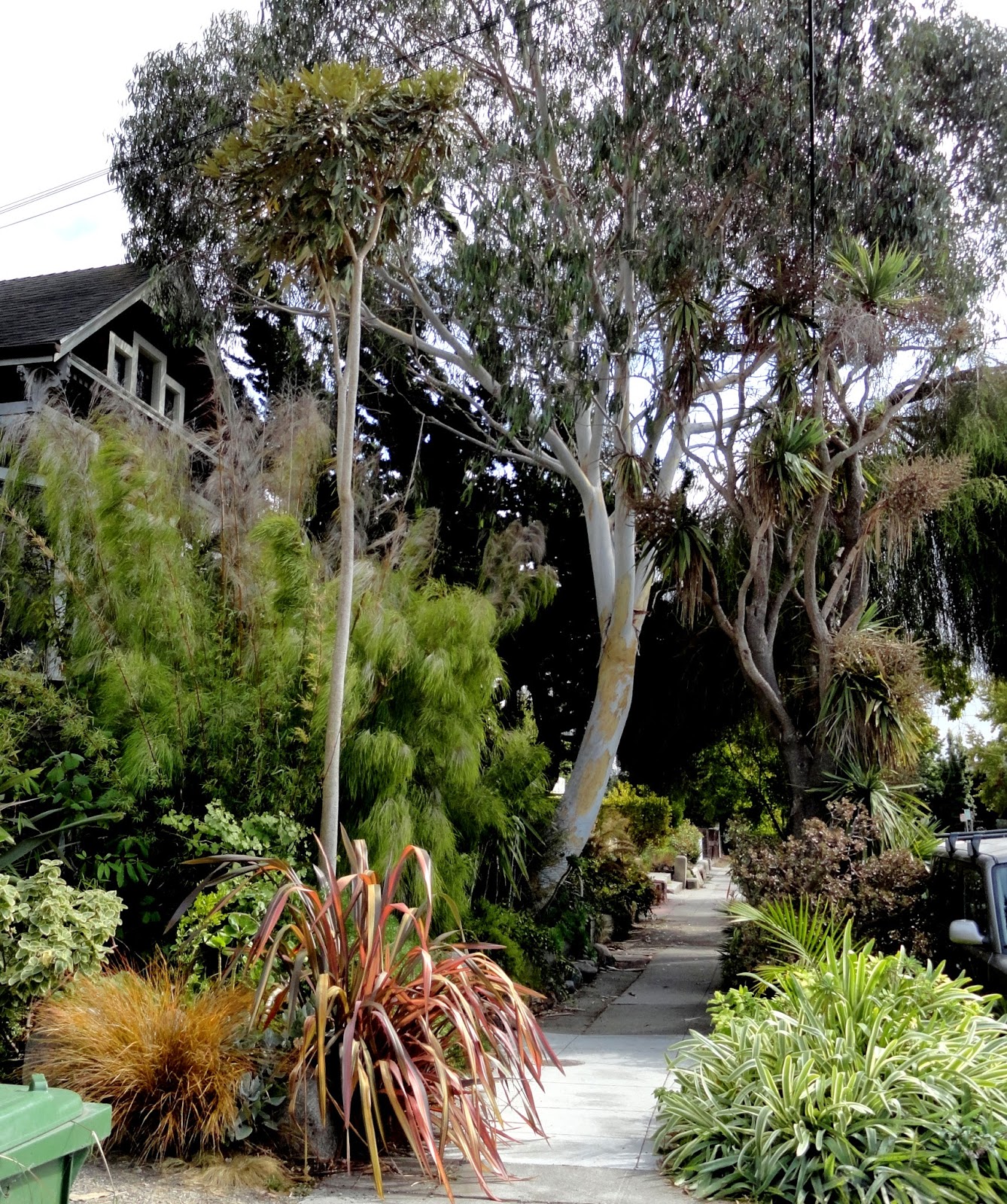 Top 98+ Pictures Marcia Gardens Apartments In Miami Photos Superb 10/2023