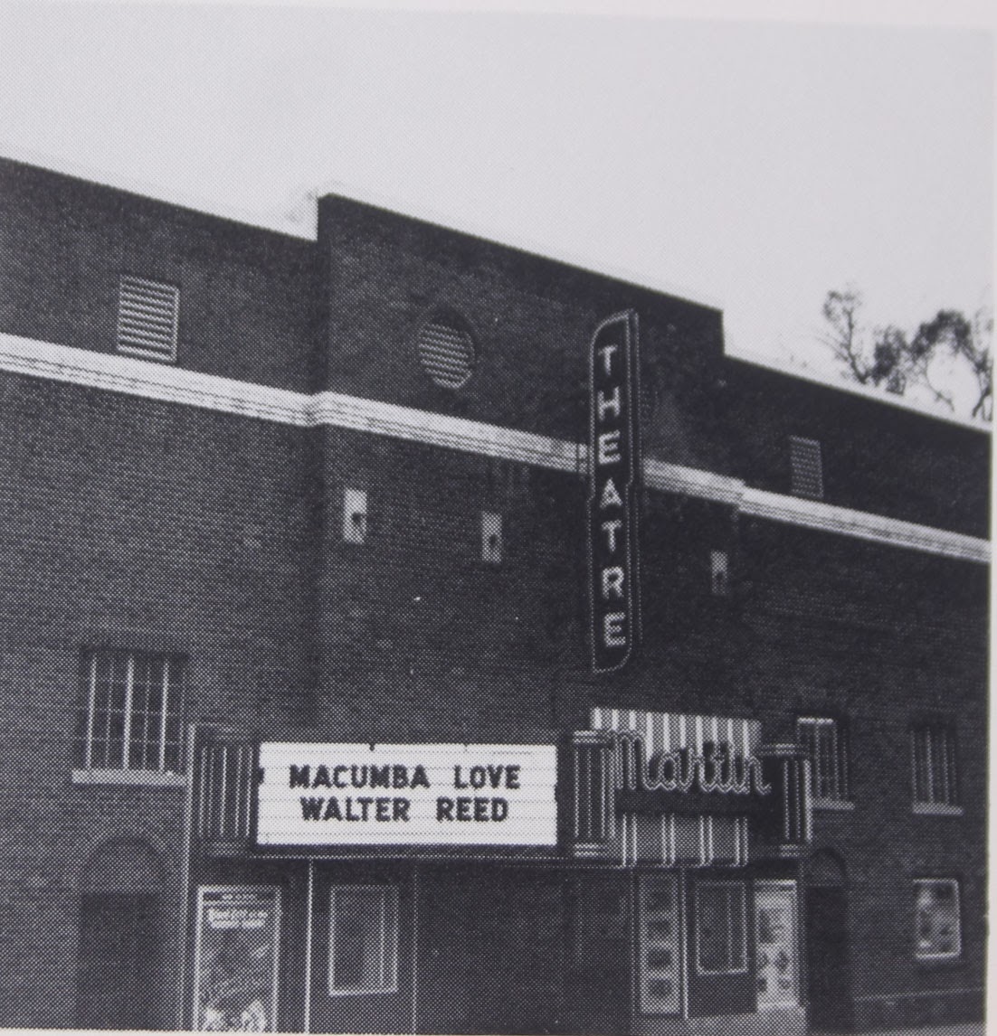 MOVIE GUIDES FROM THE MARTIN THEATER, ROCKDALE DRIVE IN THEATER, DUBLIN
