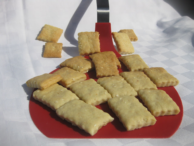 Regañás Con Sésamo