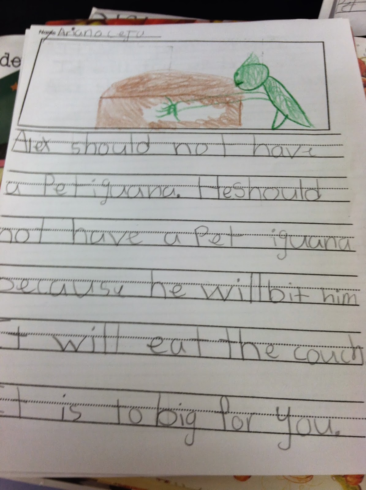 Opinion writing in 1st grade