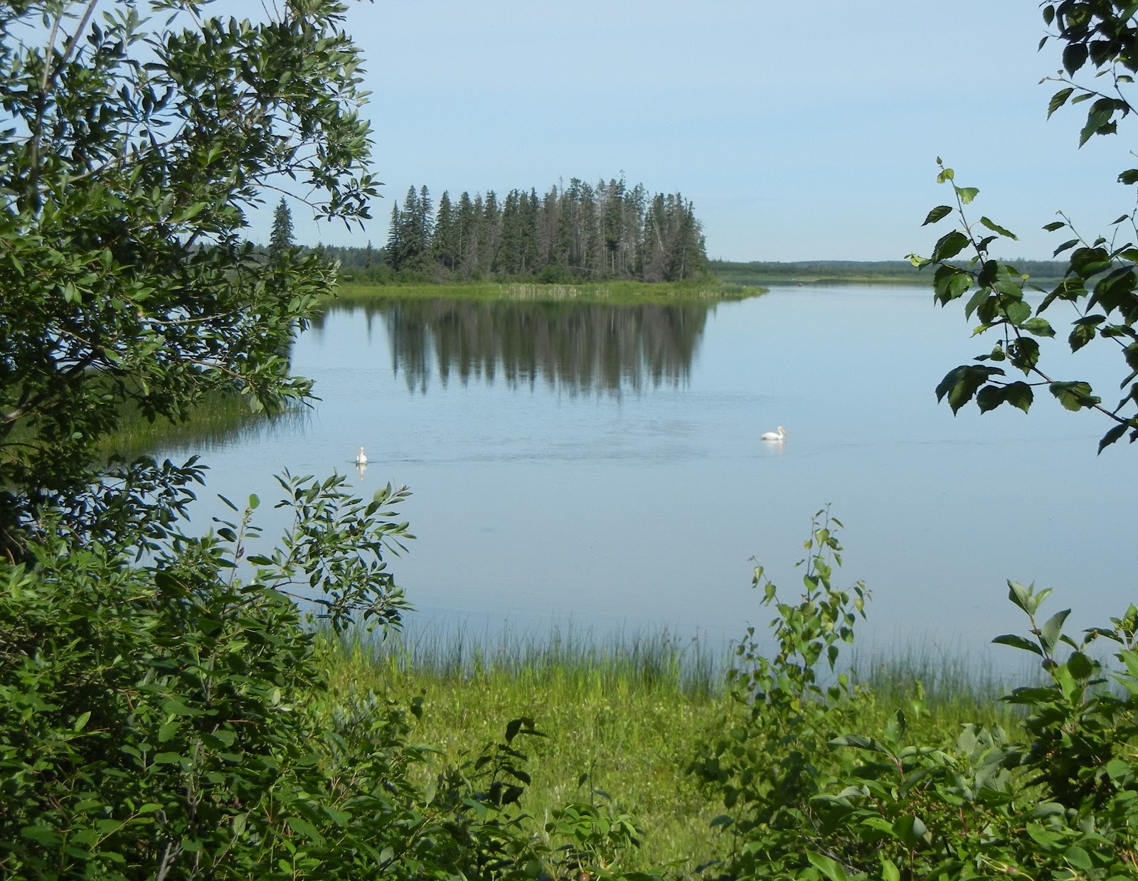 Canoeing Around Edmonton, Alberta, Canada Astotin Lake, Elk Island