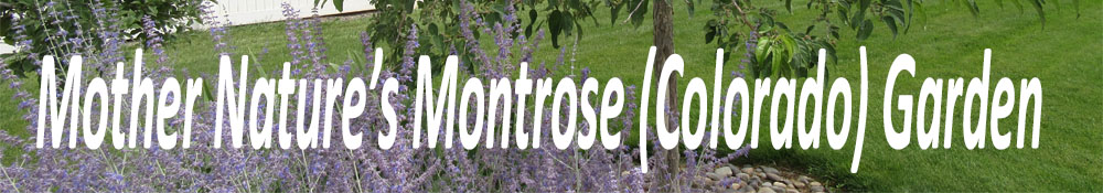 Mother Nature's Montrose Garden