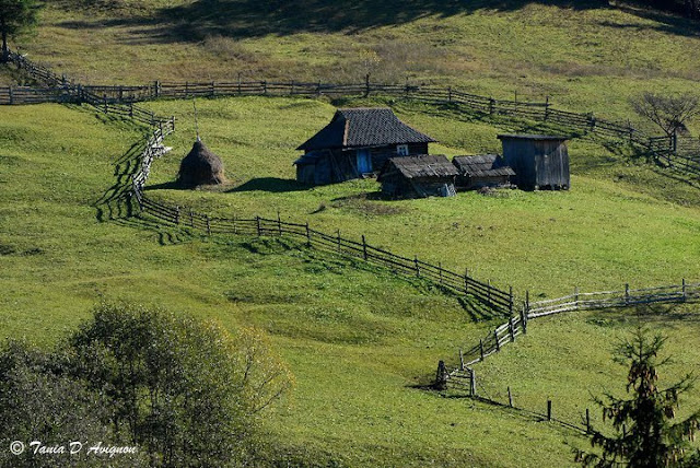 Carpathian Mountains, West Ukraine by Tania D'Avignon