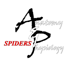 Anatomy and Physiology of Spiders