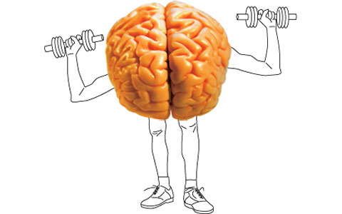 Dakim Brain Fitness Program
