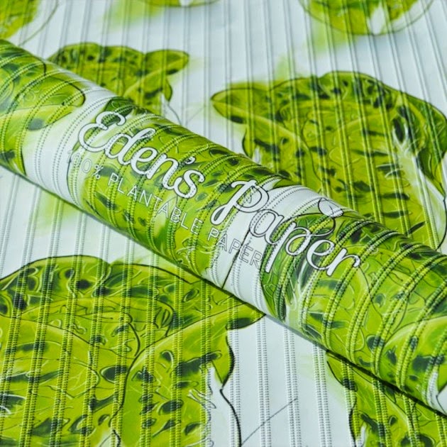 植物の種が埋め込まれているラッピングペーパー