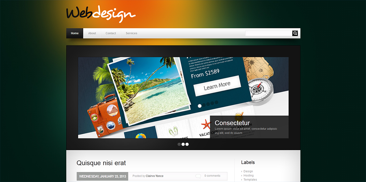 WEB DESIGN WEB DESIGN