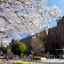 Trường đại học Tokyo Nhật Bản
