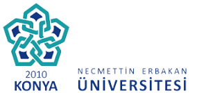 Necmettin Erbakan Üniversitesi 2012-2013 Sonuçları