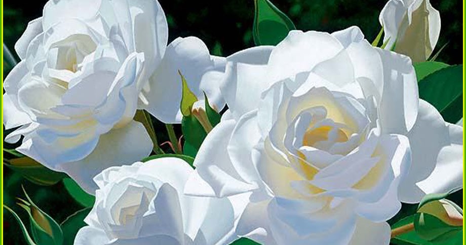 wallpapers name: Peaceful White Roses And 15 Quotes Must See...!!!