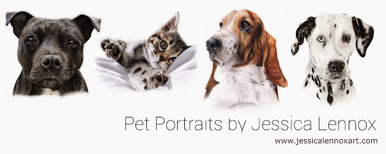 Jessica Lennox Pet Portraits