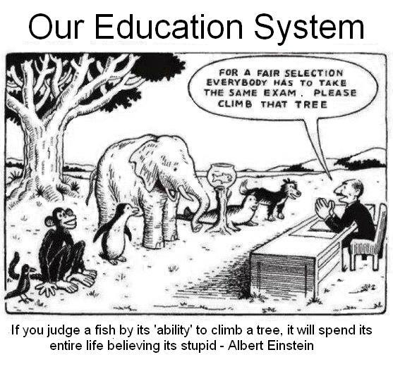 Examples Of Essays For High School Education Is A Complicated Affair As It Is Supposed To Equip Children For Life Since Life Styles Are Always Changing Essays In English also Essay Paper Topics Today There Is Some Changes In The Educational System In Your Essay On Business Communication