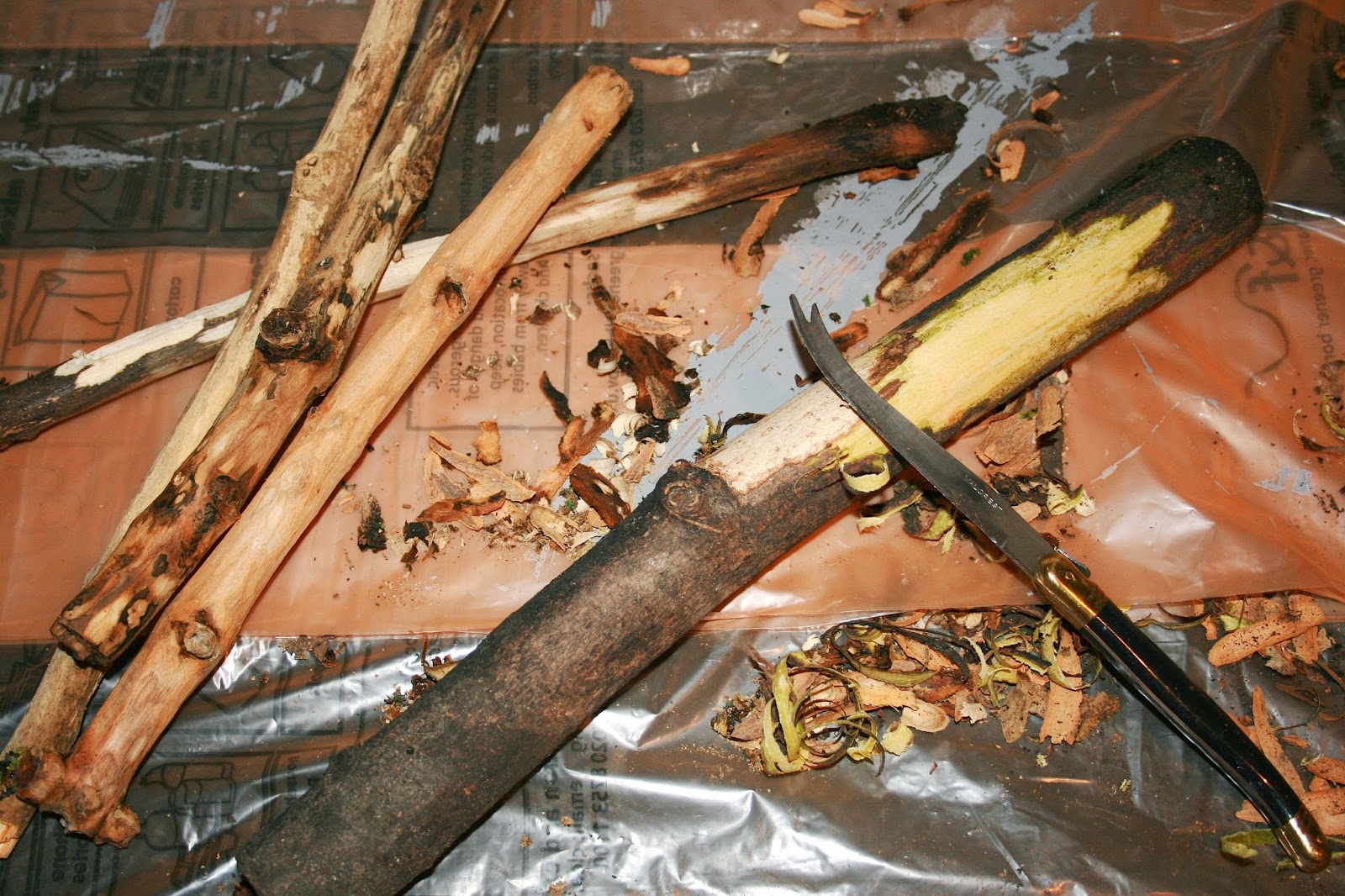 Pour cela je vous propose de ramasser quelques bous de bois de Pour cela je vous propose de ramasser quelques bous de bois de