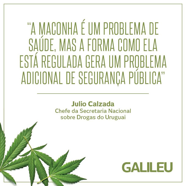 Maconha um problema de saúde. Maconha um problema de saúde.