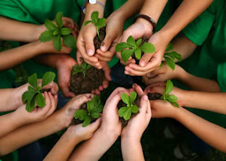 POR UM MUNDO MAIS VERDE!