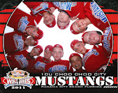 2011 Mustangs