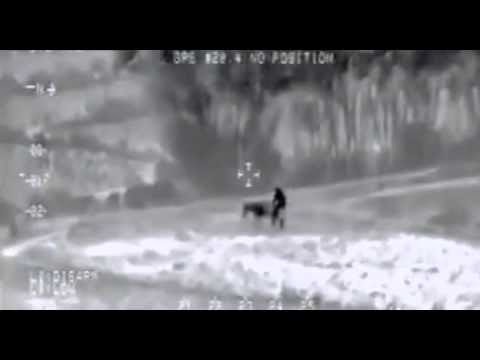 video sex man and animal