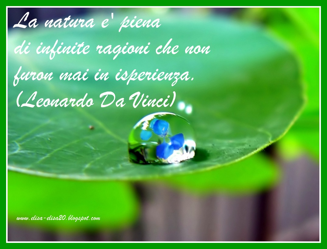 I sentieri della ragione: Aforismi, citazioni, frasi sulla natura (2)