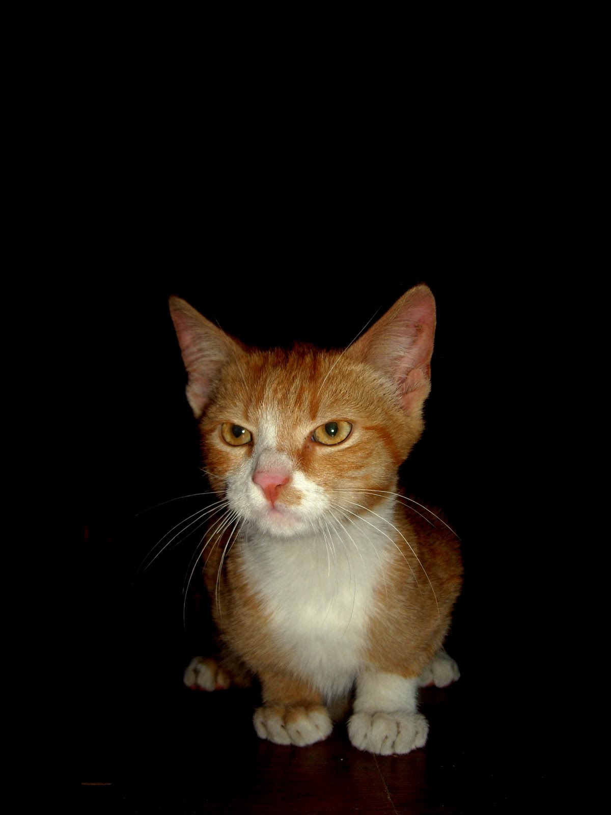 cir