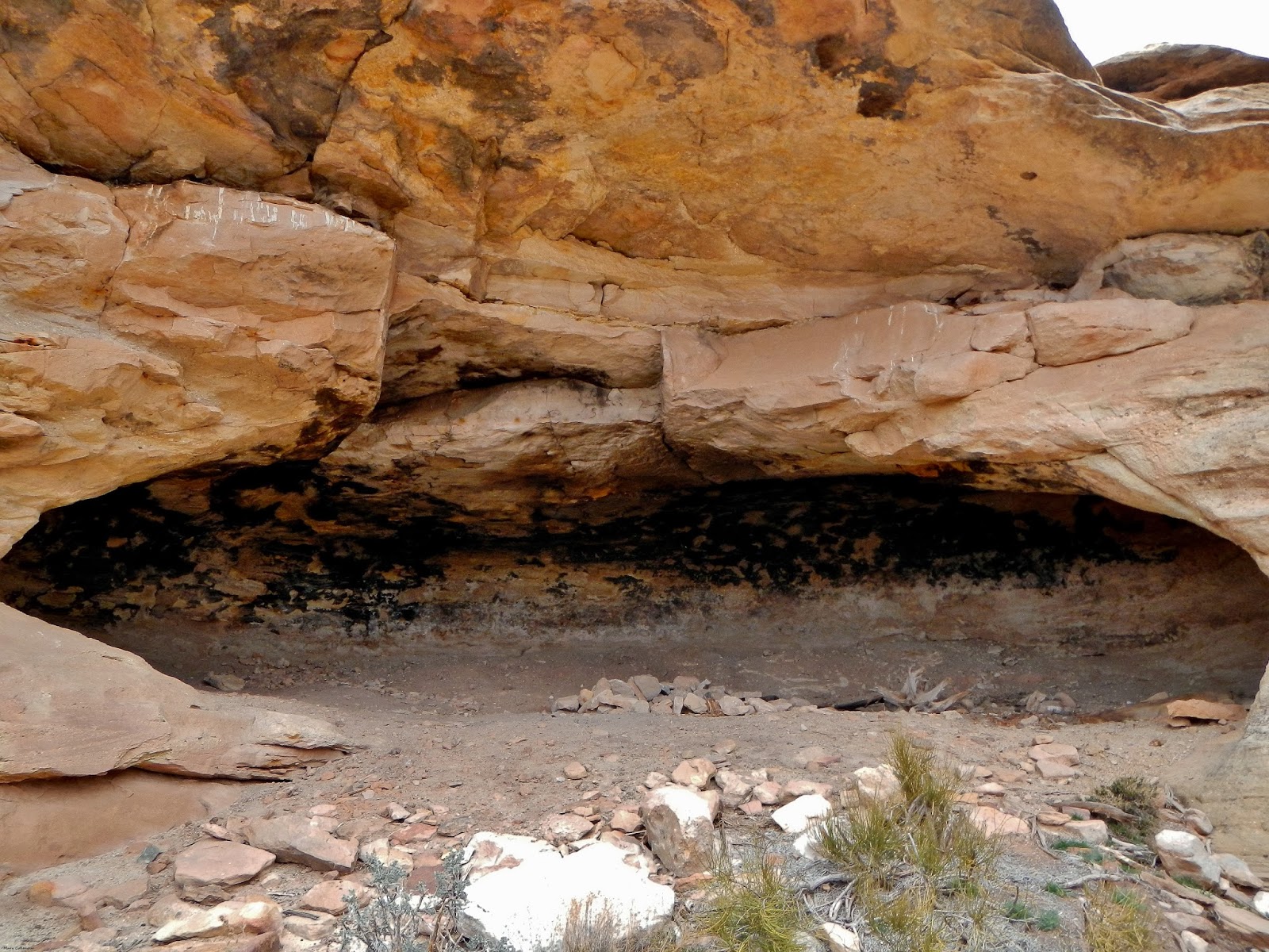The Southwest Through Wide Brown Eyes Blanding's Ruined Ruins.