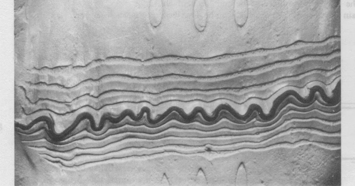 Aquinas Geology Crustal Shortening CW