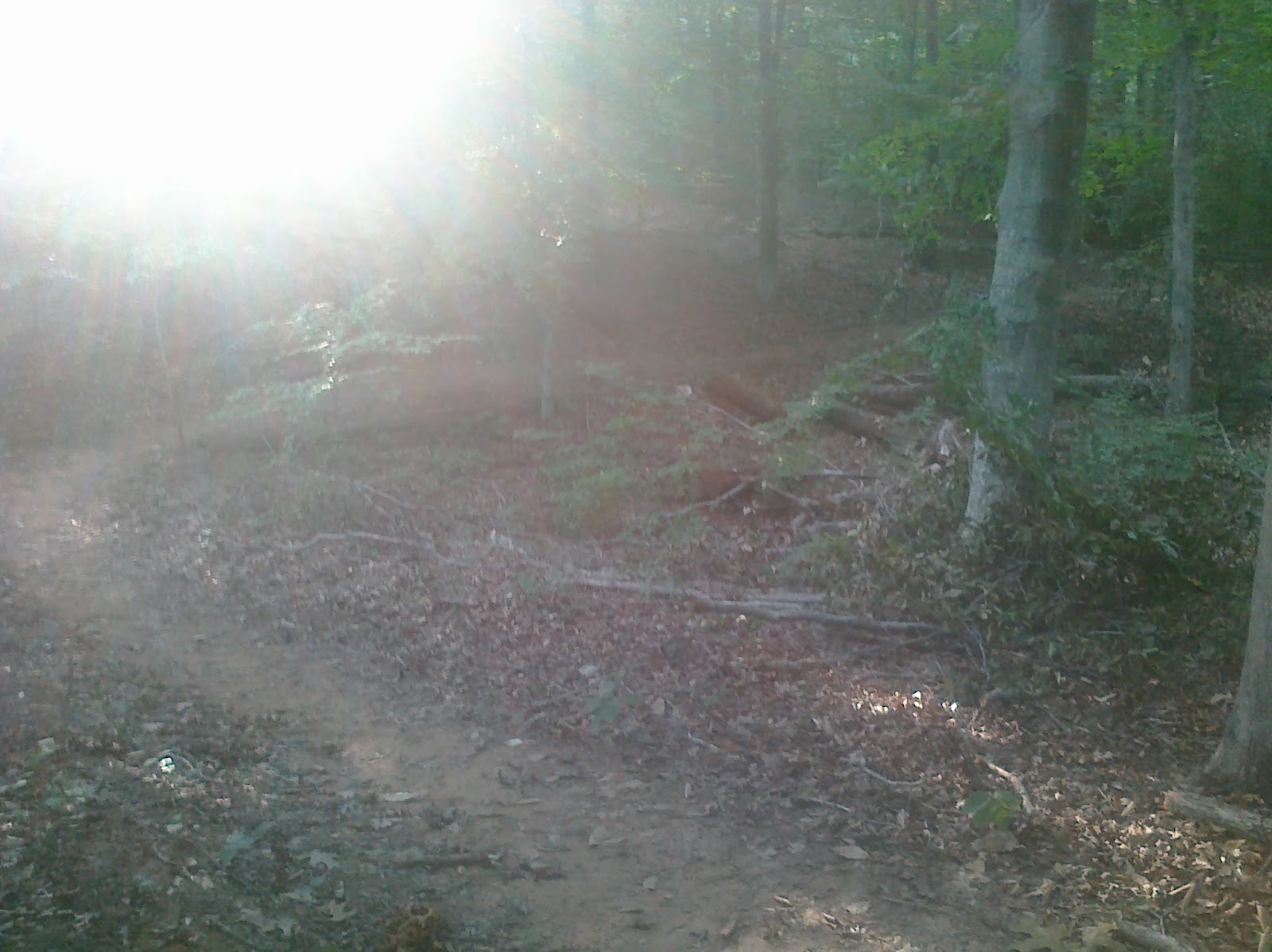 Maybe if you have been trail running you might a place you are not eager to Maybe if you have been trail running you might a place you are not eager to