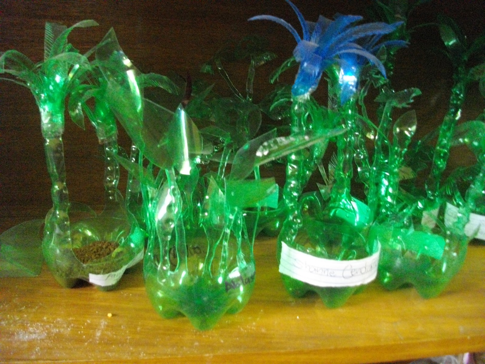 Green Living Zone Recycling soda plastic bottles in artistic ways