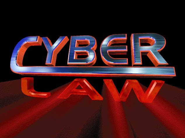 cyber law