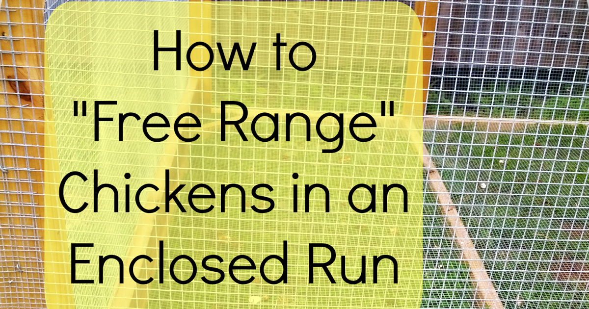 Greneaux Gardens How to "Free Range" Chickens in an Enclosed Run