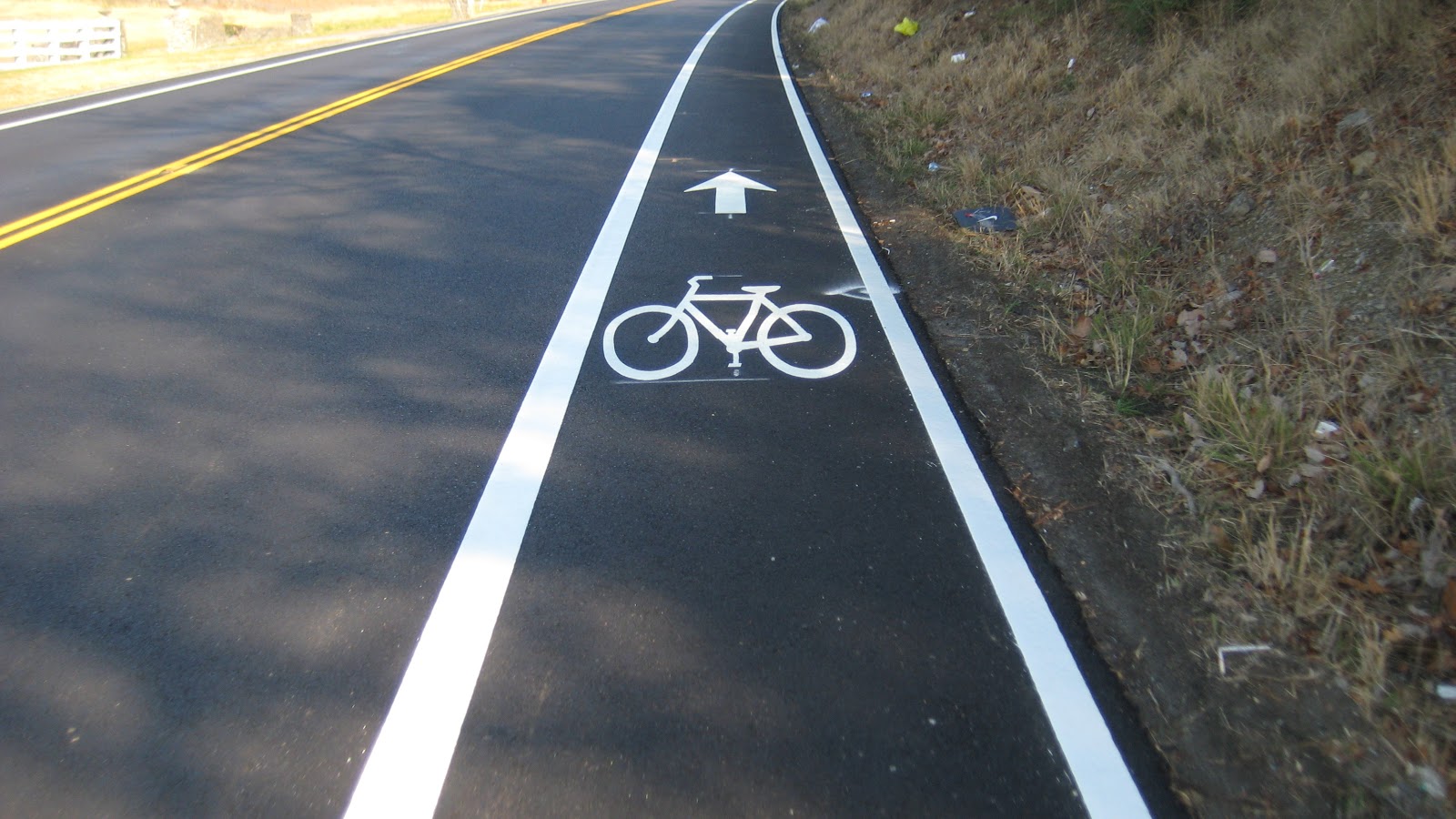 Bicycle Lanes in your city SkyscraperCity