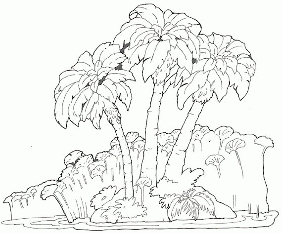Selva Para Colorear Sin Animales