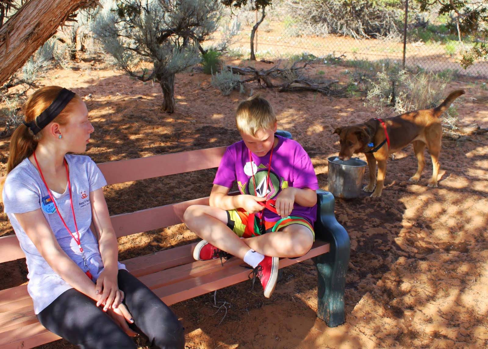 best friends animal society a different kind of home midcentury