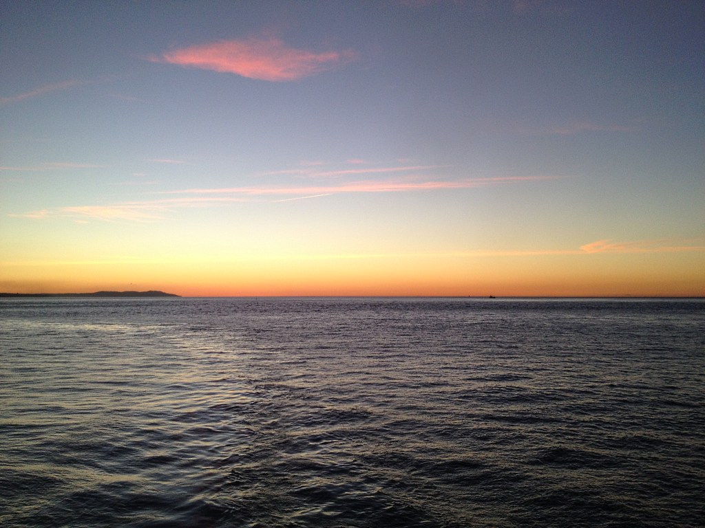 IMG_1313.JPG