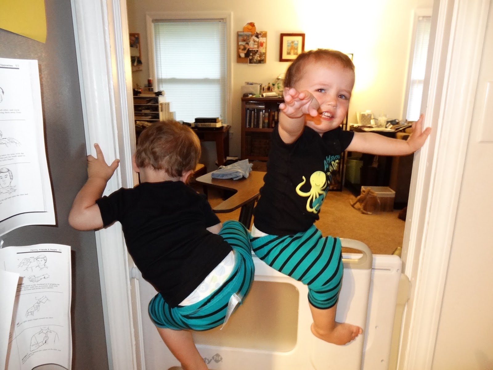 Toddler beds and baby gates