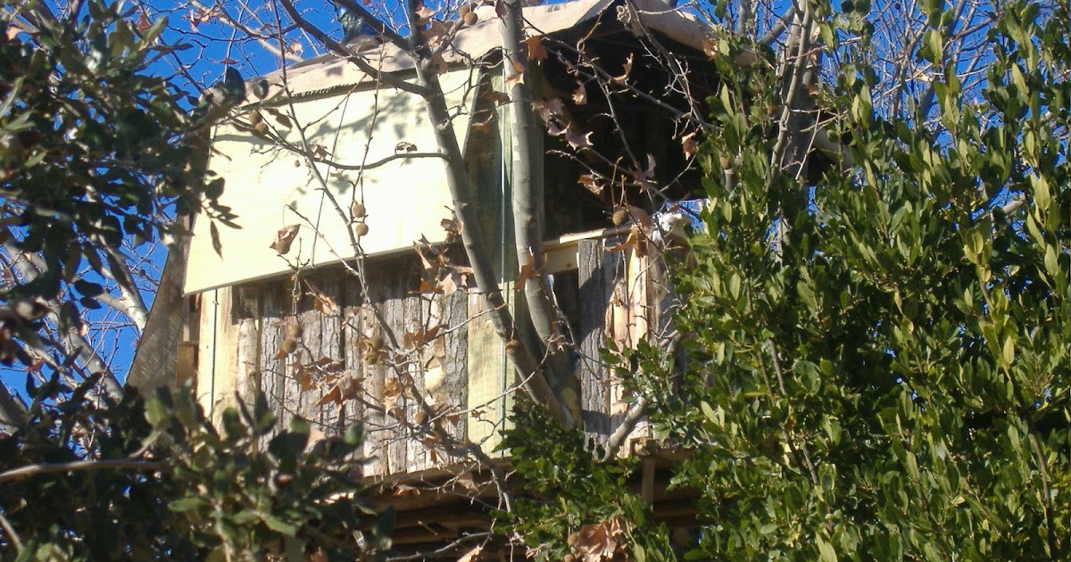 El huerto de Franjavio: Cabaña en el árbol