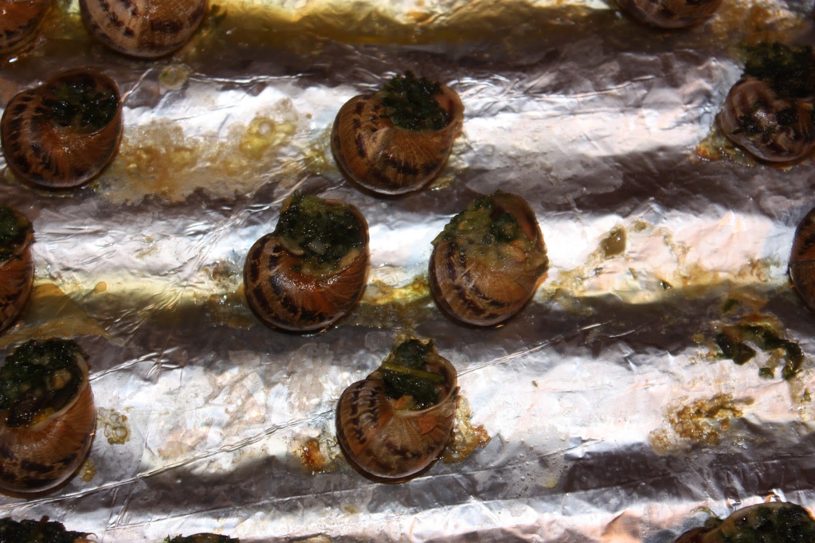 Fishing in Scotland A Nice Wild Brown Trout and a Good wee Rainbow Too