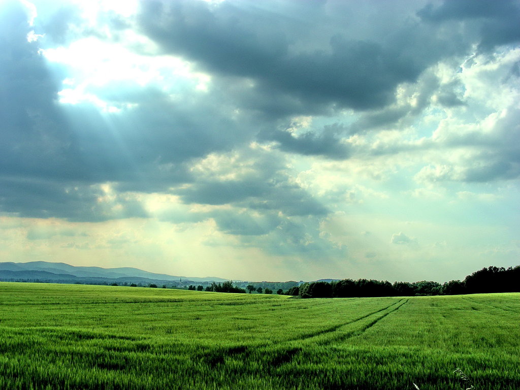 Gao Yord The Green Fields of France
