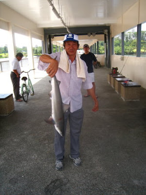 Grey Shark also know as Sua Heur 鲨鱼 or Yu garang Caught by Ah Lee weighing 5kg plus at Woodland Jetty Fishing Hotspots was created to share with those who are interested in fishing on tips and type of fishes caught around Woodland Jetty Fishing Hotspots.