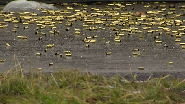 Large collection of spent .22lr shell casings on wet ground.