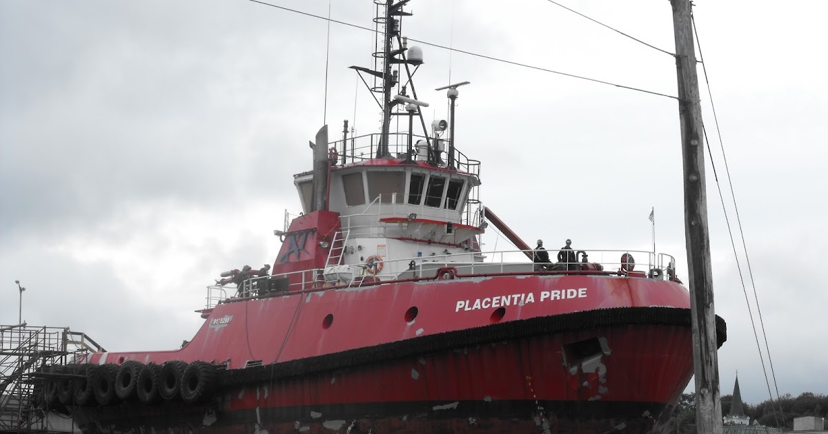 Ship Movements at St. John's and other ports in Newfoundland Placentia